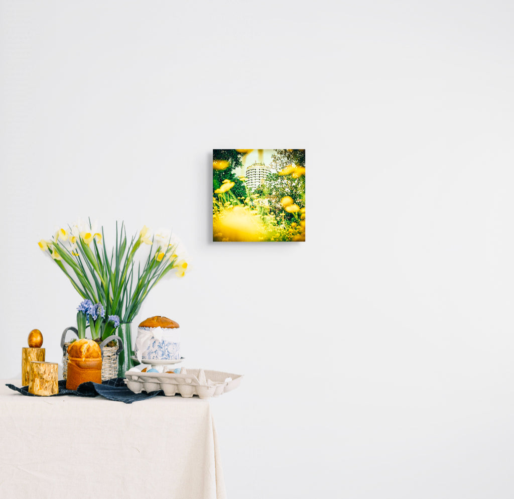 Nature Frames the City